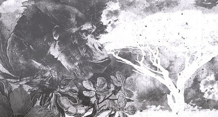 Mural HORIZONS ECHO MU11032 flizelina