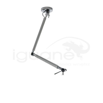 Ramię Lampbody Zyta M aluminium