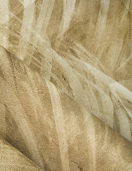 Mural Pampa 35 0542 06 Winyl