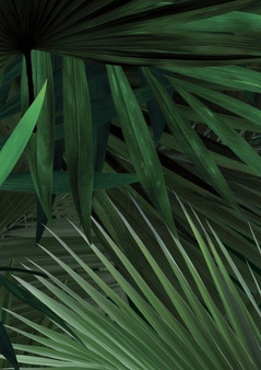 Mural Palm Leaves WP-501