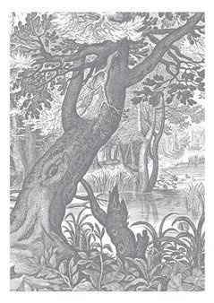 Mural Engraved Landscapes WP-615