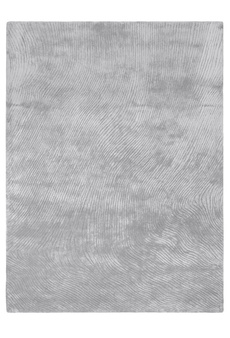 Dywan Canyon Silver 200x300