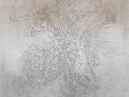 Mural Grey Ombre Flower winyl