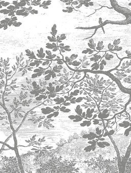 Mural Engraved Landscapes CK-046