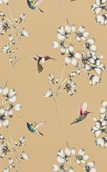 Tapeta Amazilia 111063