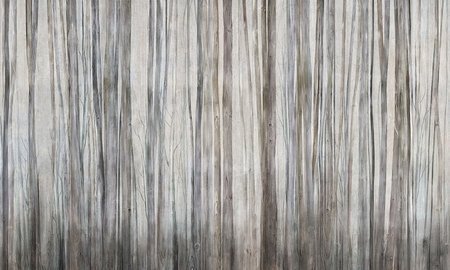 Mural Mirage 35 0794 18  flizelina