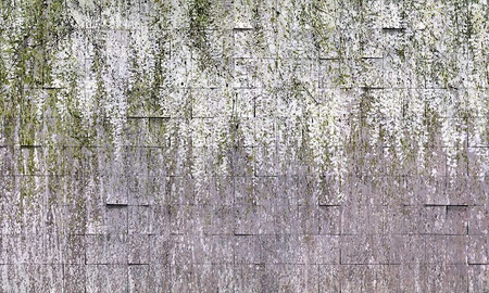Mural Allure 35 0796 07 winyl