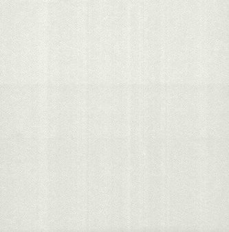 Tapeta Camellia 1703-114-01