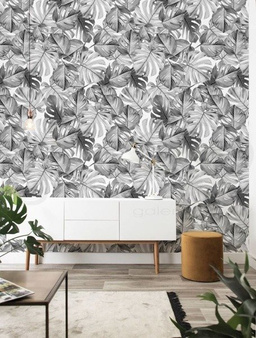 Mural Botanical Monstera WP-583