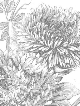 Mural Engraved Flowers  WP-672