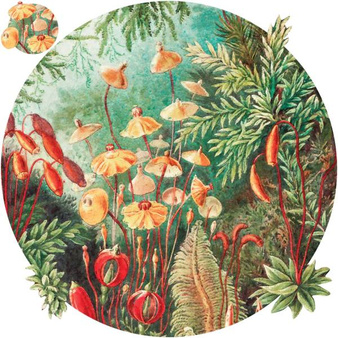 Mural koło Fairytale Vivid