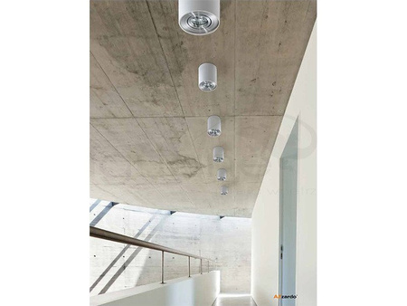 Lampa BROSS 1 plafon biała-aluminium