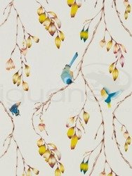 Tapeta Zapara 111770