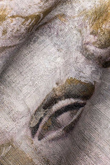 Mural Venus 35 0922 05  flizelina