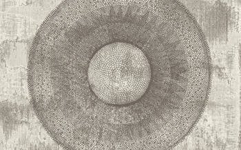 Mural Carl Robinson 14 CR62000M