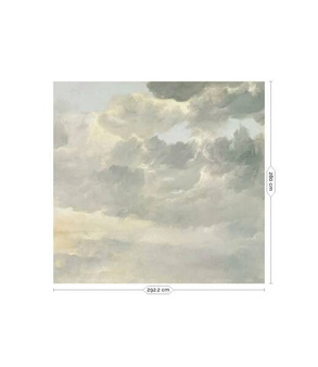Mural Golden Age Clouds I WP-230- outlet