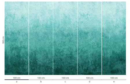 Mural Ombre 35 0448 08 flizelina
