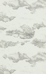 Tapeta Amazilia 111071