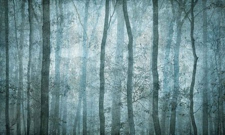 Mural Shadow 35 0439 03 Fizelina