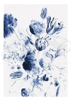 Mural Royal Blue Flowers II WP-208