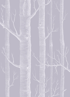Tapeta Woods 112/3012
