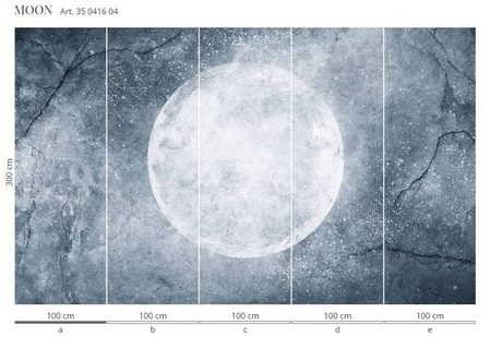 Mural Moon 35 0416 04 Flizelina