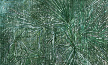 Mural Amazonia 35 0469 03 flizelina
