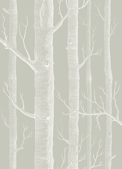 Tapeta Woods 112/3013