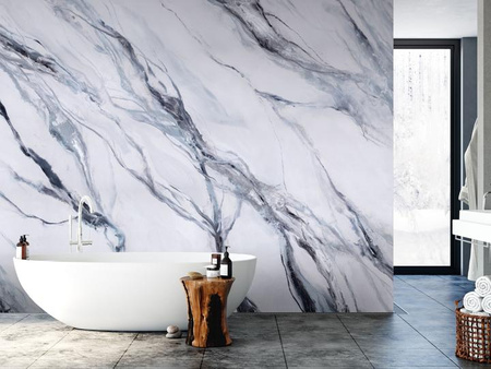 Mural Silvering winyl 