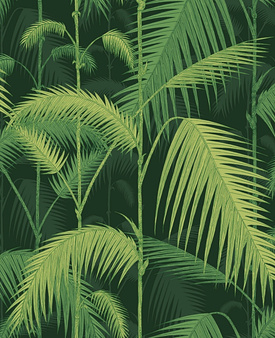Tapeta Palm Jungle 112/1003