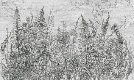 Mural Tillia 35 0924 01 winyl