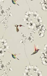 Tapeta Amazilia 111062