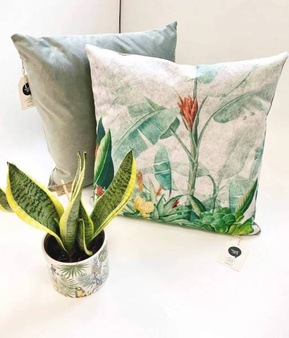 Poszewka Rainforest 50 welur