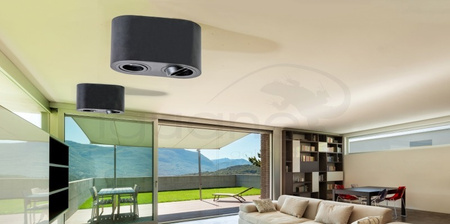 Plafon Brant 2 IP44 chrom