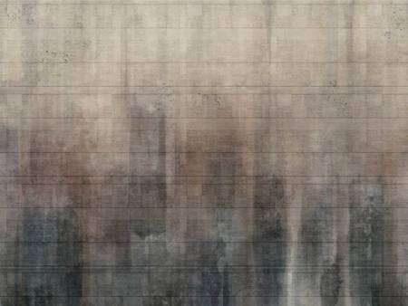 Mural Virgo 325 34 2101 - winyl