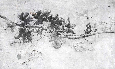 Mural Kler 35 0773 00 flizelina