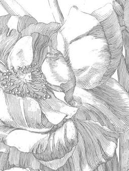 Mural Engraved Flowers BP-015