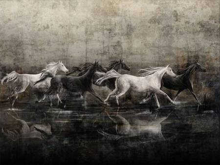 Mural Recho 365 34 2101 - winyl