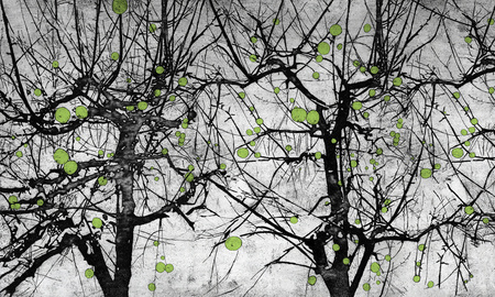 Mural Vibrant 35 0553 08  Winyl