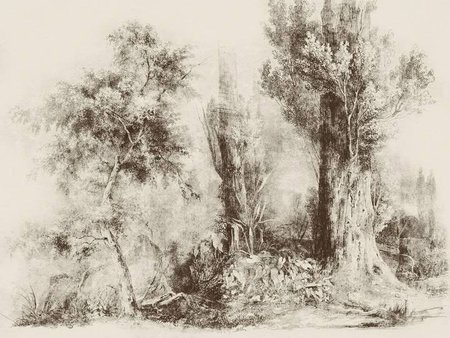 Mural Calm Beige winyl