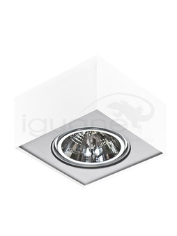 Lampa PAULO 1 12V biała / aluminiowa
