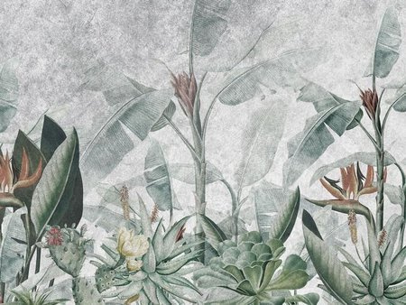 Mural Rainforest winyl