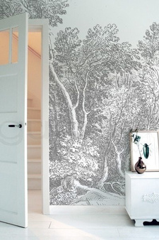 Mural Engraved Landscapes  WP-316