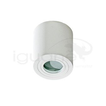 Plafon Brant IP44 biały