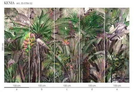 Mural Kenia 35 0784 02 flizelina