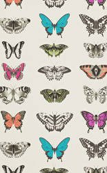 Tapeta Amazilia 111079