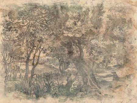 Mural Elav 605 31 2201 - winyl