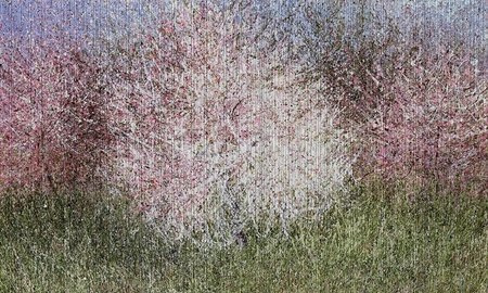 Mural Bloom 35 0523 08 flizelina