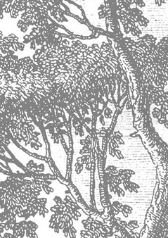 Mural Engraved Landscapes  WP-312