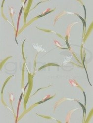 Tapeta Zapara 111756